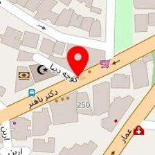 تهران برگر