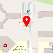 غذا بهزاد