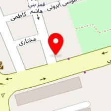 هایس برگر