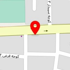 پیتزا کتلت سورنا