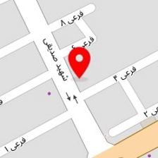 پیتزا نایس
