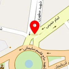 پیتزا و ساندویچی بهزاد