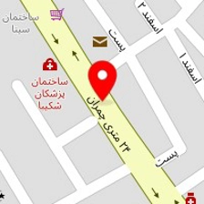 طعم واقعی فلافل عموحجت