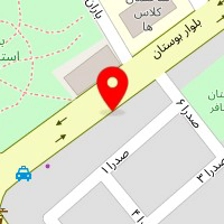 پیتزا پالیز