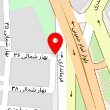 تهیه غذا جوان