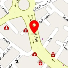 پیتزا ساندویچ سید امیر