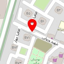 تهیه غذا بیرانوند
