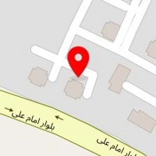 پیتزا بیرونبر بینگو