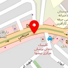 پیتزا ملک