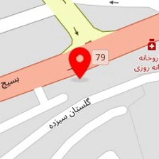 فلافلی امیر