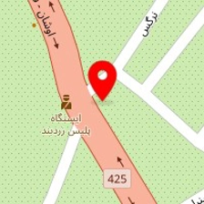 فست فود کارون