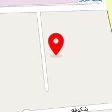 فلافل مامان جون