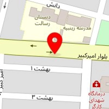 پیتزا ساندویج علی
