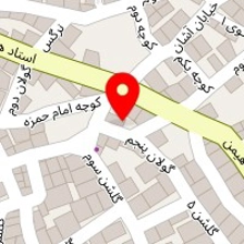 پیتزا و ساندویچ تک