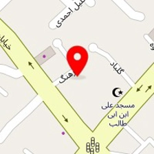 پیتزا ترنج