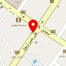 ساندویچ دلفین