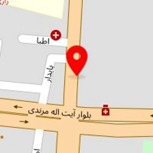 پیتزا سید رضا