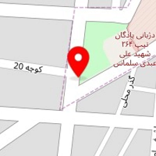 سیب زمینی تنوری سید