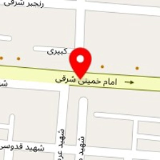 پیتزا برگر آویشن