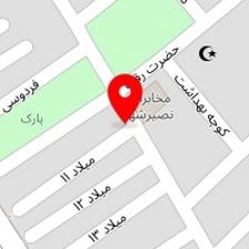 برق خودرو محسن