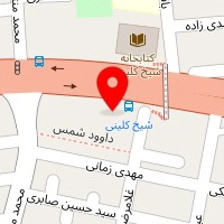 الکتریکی عراقی