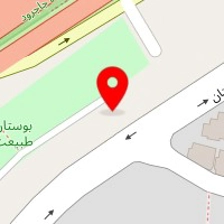 خدمات فنی