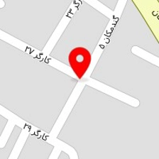 تاسیاست شاهرخی