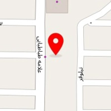 الکتریکی محسن