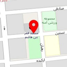 الکتریکی دوستان