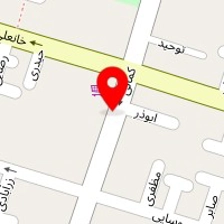 الکتریکی تکنو پویا