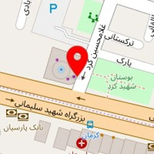 ژوآن بیست