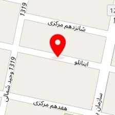 نمایندگی هاکینز-فیوچورا