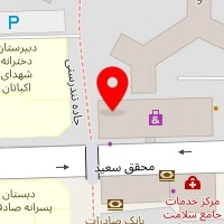 الکتریکی مکس وِل