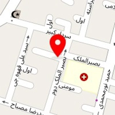 خدمات کامپیوتر ۱۱۵