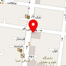لیون الکترونیک