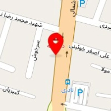 تشک رویا مینایی فر
