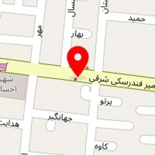 تشک زست