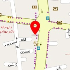 تشک زست