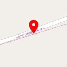 تشک آروین