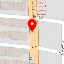تشک آدونیس