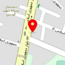 تشک وگال