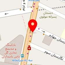 تشک زست