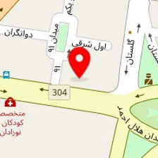تشک زست