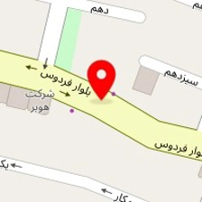 تشک آکسون