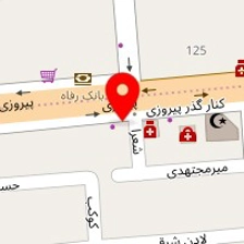 پیشرو تیم