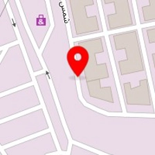 پیمان تکنیک یزدانی
