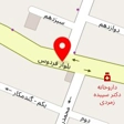 دکتر سعید داداشی