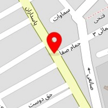 همدان سرویس (طاوسیان)