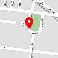 لوستر شب نما