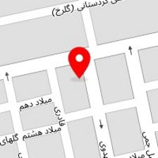 کارتن سازی میهن